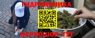 spice Заволжье