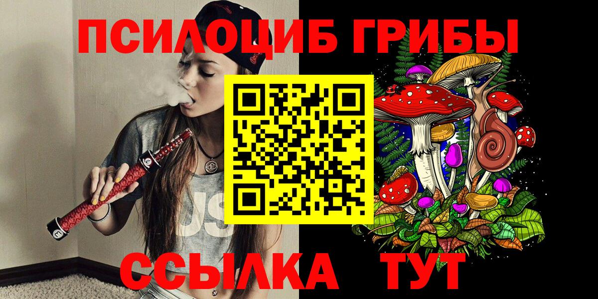 Псилоцибиновые грибы прущие грибы Вольск
