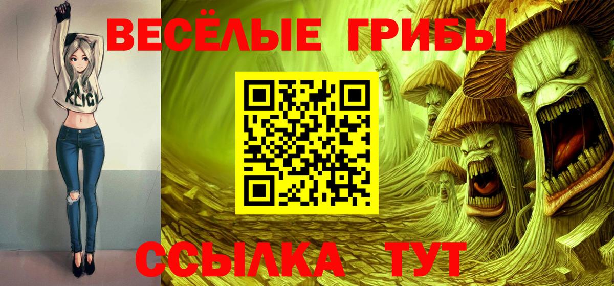 Псилоцибиновые грибы Psilocybe  Вход с VPN  Псилоцибиновые грибы ЛСД  Вольск 